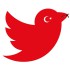 Cartoon: Erdoğan and Twitter