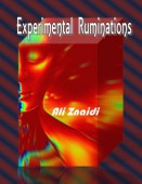 poetry month Ali-Znaidis-Experimental-Ruminations-231×300-131×170